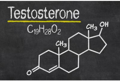 Что такое тестостерон?